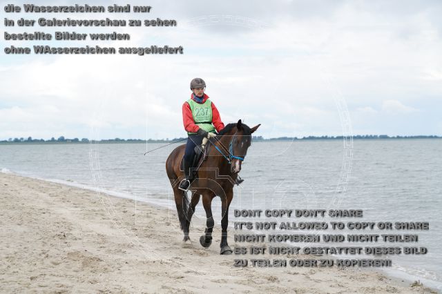 s_K3F04968.JPG